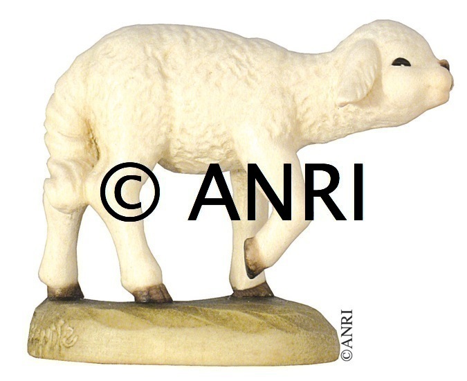 Pecora art. 55710-45